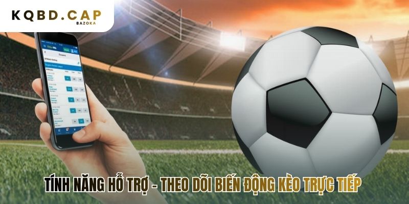 Công cụ hỗ trợ theo dõi nhịp đập thị trường kèo nhà cái
